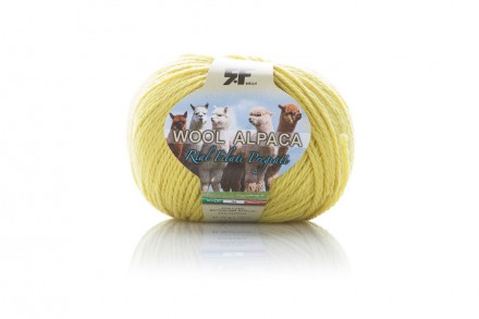 Alpaca Wool - colore 507